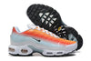 Nike Tn Air Max Plus Tropical Gradient